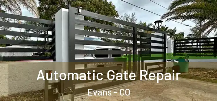  Automatic Gate Repair Evans - CO