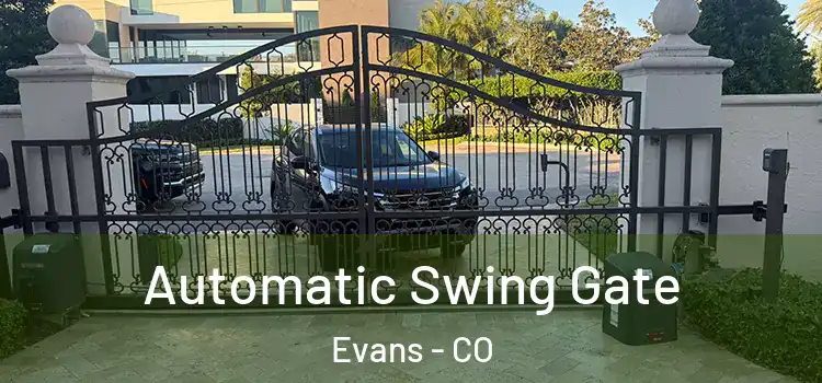  Automatic Swing Gate Evans - CO