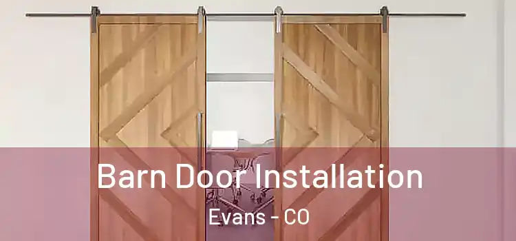  Barn Door Installation Evans - CO
