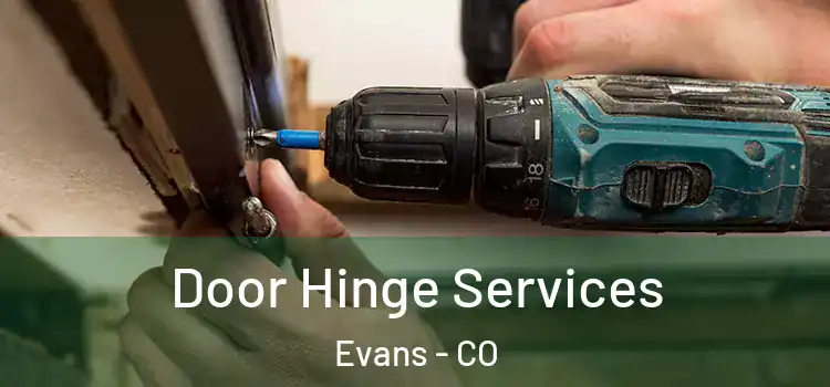  Door Hinge Services Evans - CO