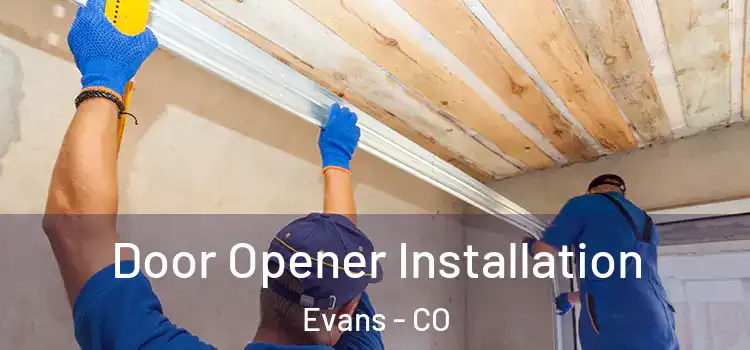  Door Opener Installation Evans - CO