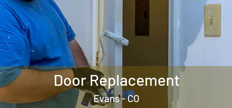  Door Replacement Evans - CO
