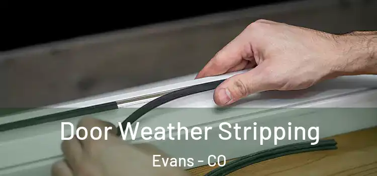  Door Weather Stripping Evans - CO