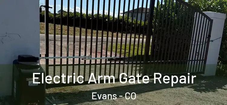  Electric Arm Gate Repair Evans - CO
