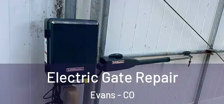  Electric Gate Repair Evans - CO