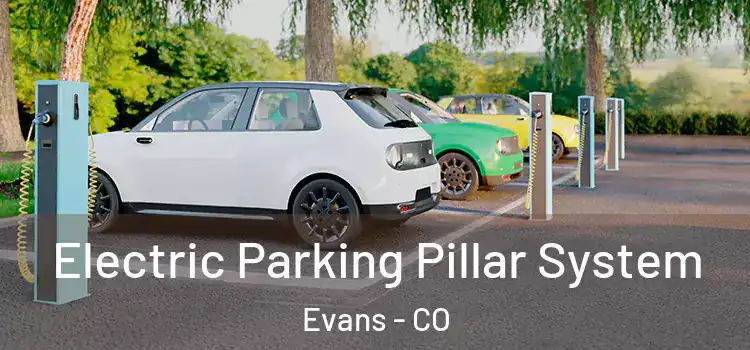  Electric Parking Pillar System Evans - CO