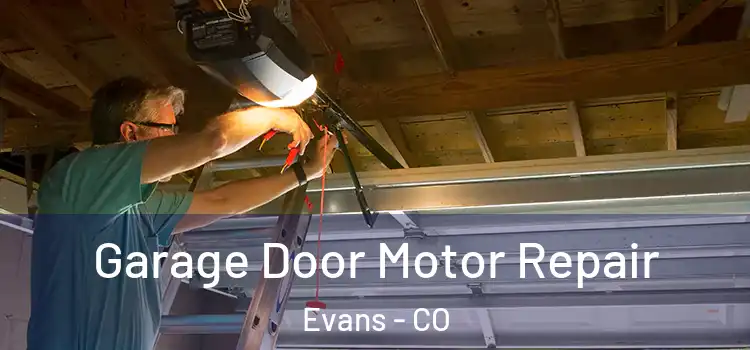  Garage Door Motor Repair Evans - CO