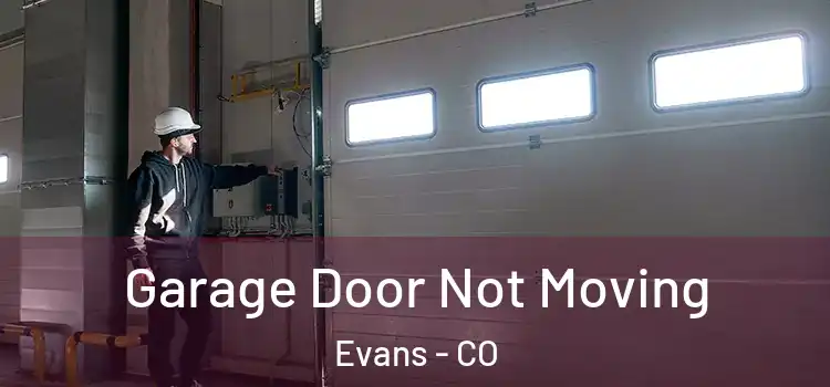  Garage Door Not Moving Evans - CO