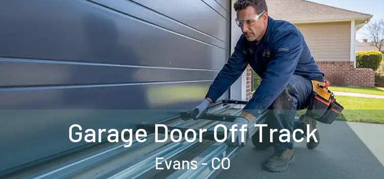  Garage Door Off Track Evans - CO