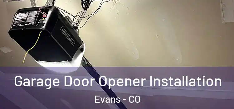  Garage Door Opener Installation Evans - CO