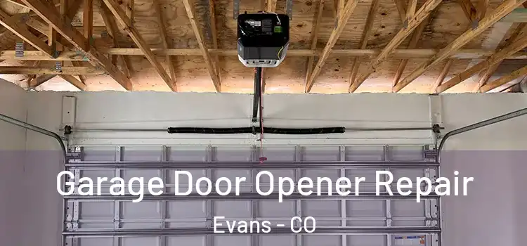  Garage Door Opener Repair Evans - CO