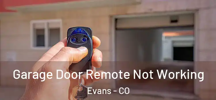  Garage Door Remote Not Working Evans - CO