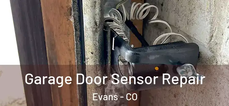  Garage Door Sensor Repair Evans - CO
