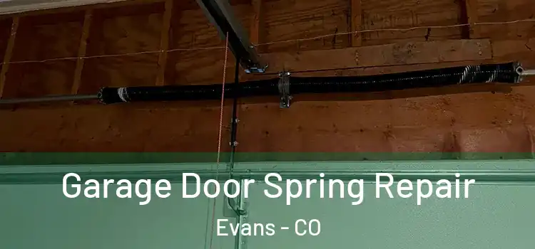  Garage Door Spring Repair Evans - CO