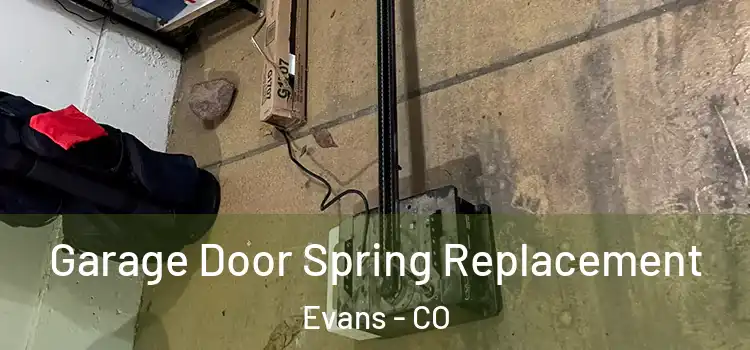  Garage Door Spring Replacement Evans - CO