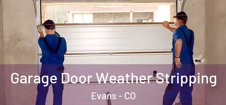  Garage Door Weather Stripping Evans - CO