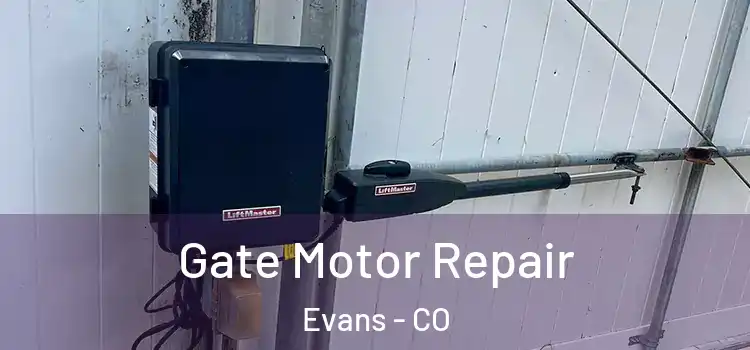  Gate Motor Repair Evans - CO