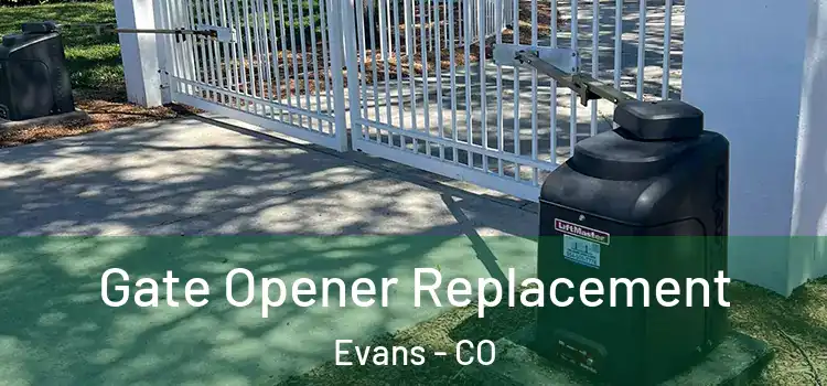  Gate Opener Replacement Evans - CO