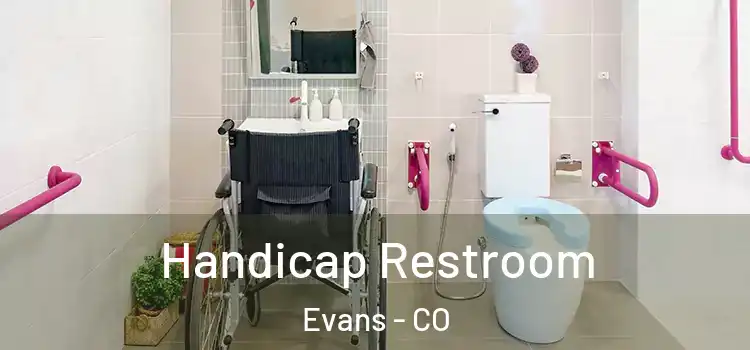  Handicap Restroom Evans - CO