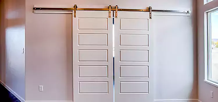 Glass Barn Door with Installation Hardware Kit Evans