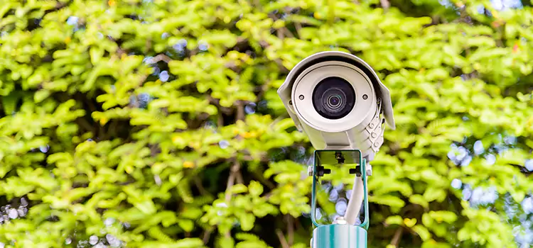 Advanced Surveillance Solutions for Every Need in Evans