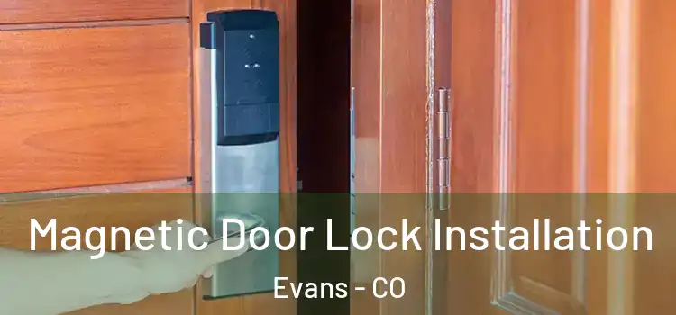  Magnetic Door Lock Installation Evans - CO