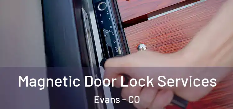  Magnetic Door Lock Services Evans - CO