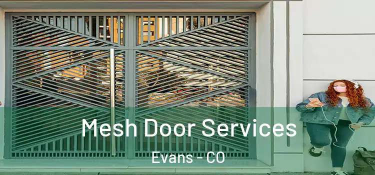 Mesh Door Services Evans - CO