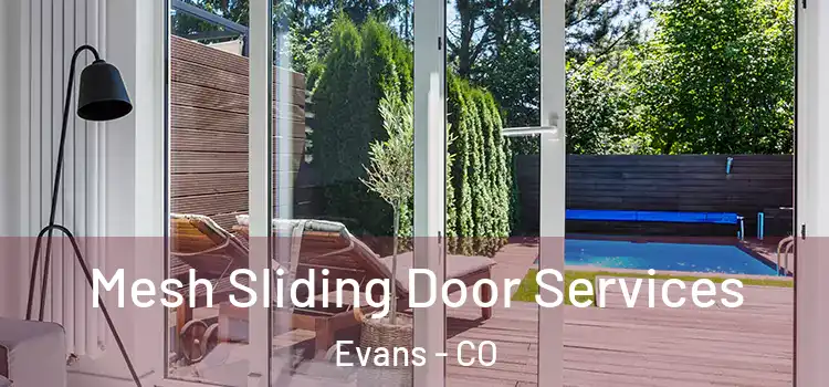  Mesh Sliding Door Services Evans - CO