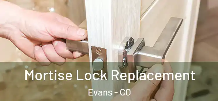  Mortise Lock Replacement Evans - CO