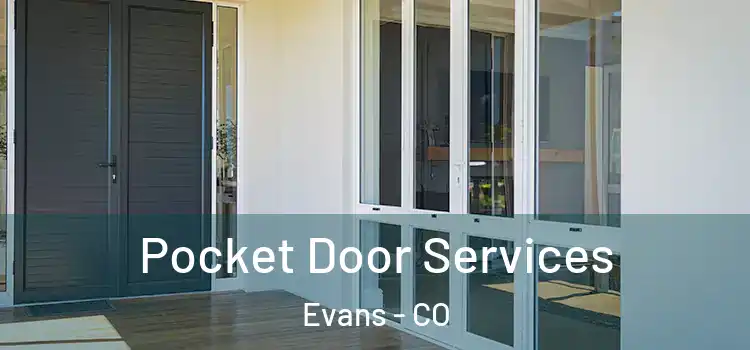 Pocket Door Services Evans - CO