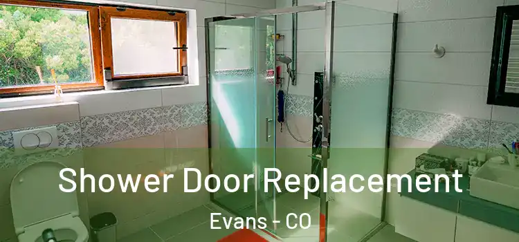  Shower Door Replacement Evans - CO