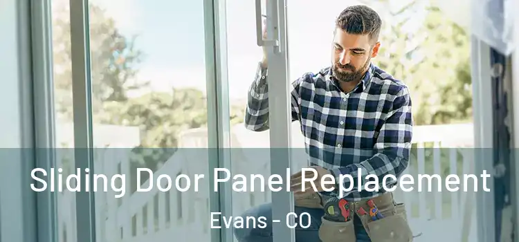  Sliding Door Panel Replacement Evans - CO