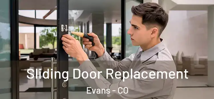  Sliding Door Replacement Evans - CO