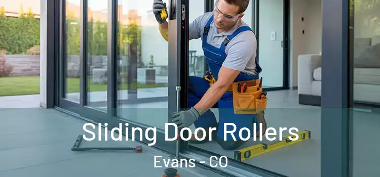  Sliding Door Rollers Evans - CO
