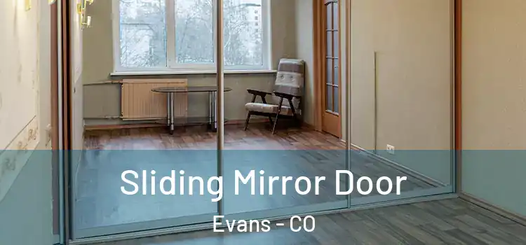  Sliding Mirror Door Evans - CO