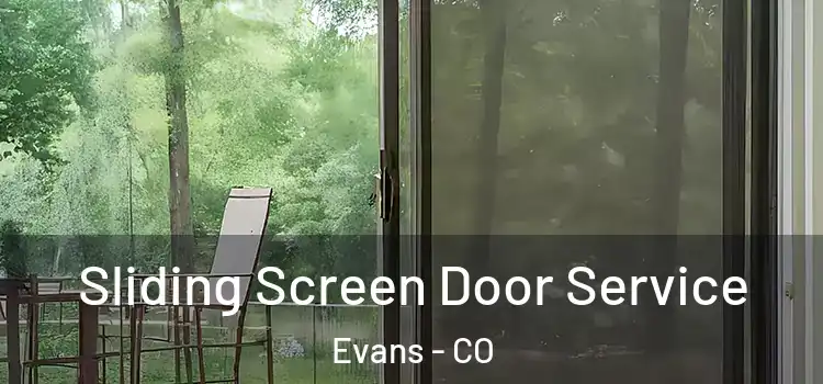  Sliding Screen Door Service Evans - CO